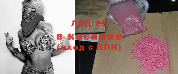 шишки Аркадак